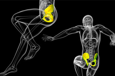 Image graphique montrant la silhouette et les os du corps humain - pubalgie blessure du footballeur | IK Paris